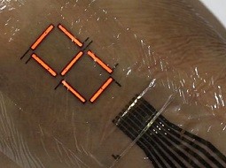 تبدیل کردن پوست به نمایشگر